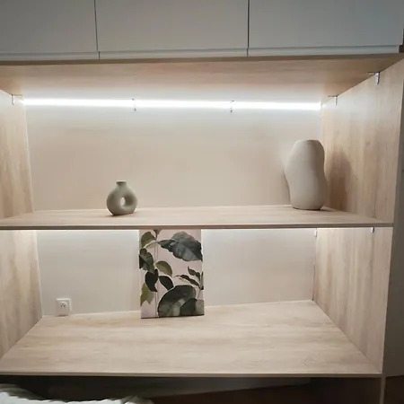 Notre Dame 3-min Walk-elegant פריז