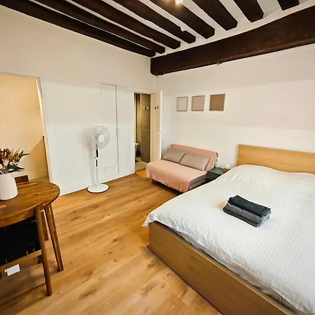 Notre Dame 3-min Walk-elegant Daire